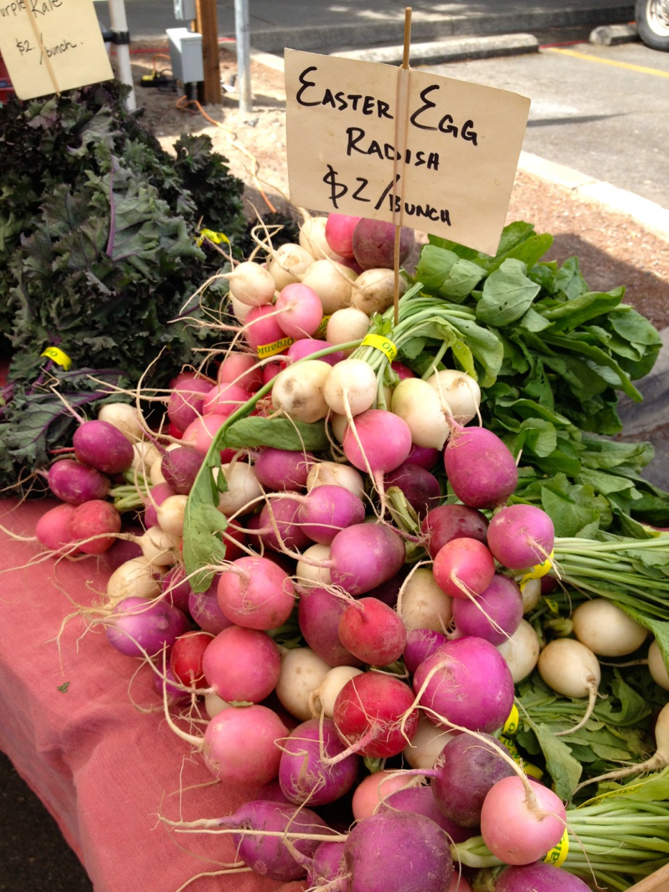 Everyday Cooking Adventures at the Grants Pass Farmer's Market ...